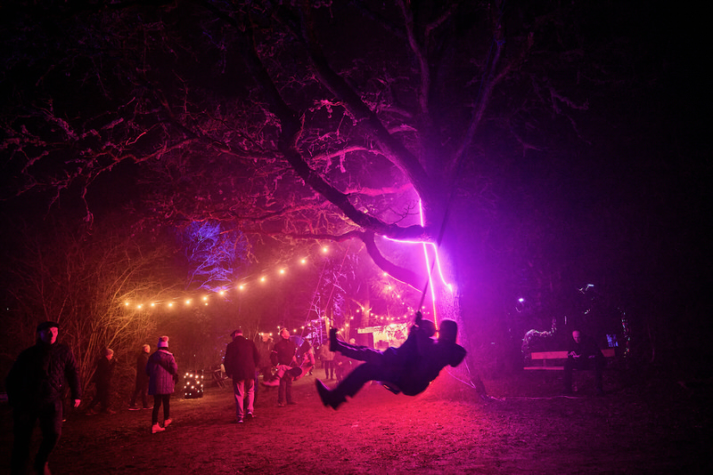 Grow a Light – Grow a Tree by Tine Bech Studio. Phographer Jakob Lerche