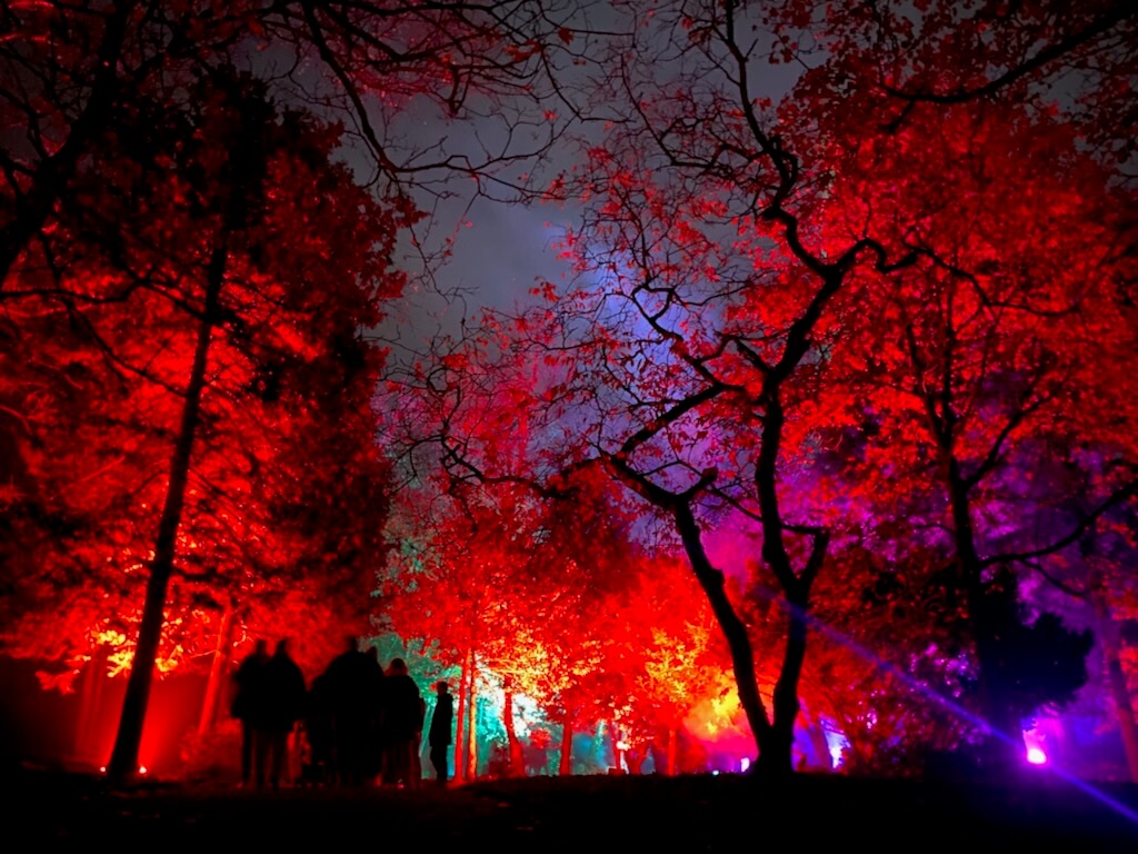 Enchanted Connections