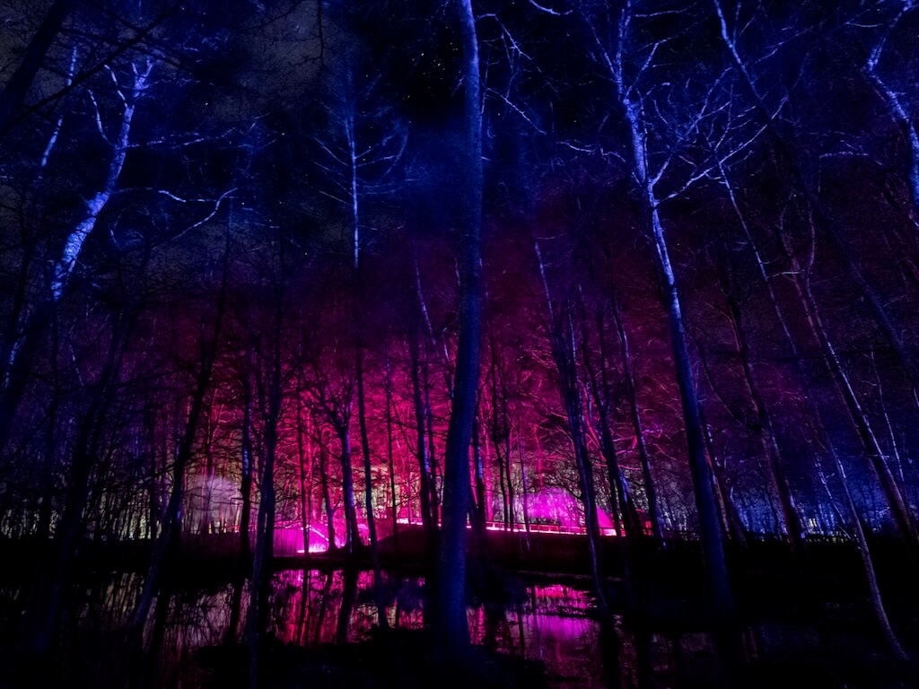 Pink Enchantment Trees