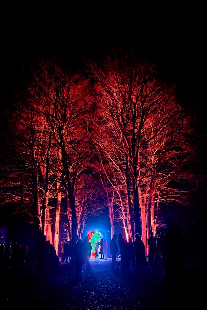 A crowd explores trees bathed in orange lights, at their epicentre is an interactive screen.