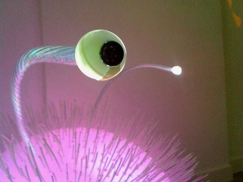 The sensors on the Chromatic Play creatures look like eyeballs.