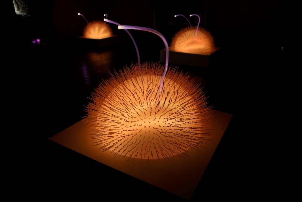 The glowing alien-like creatures wait to be played with.