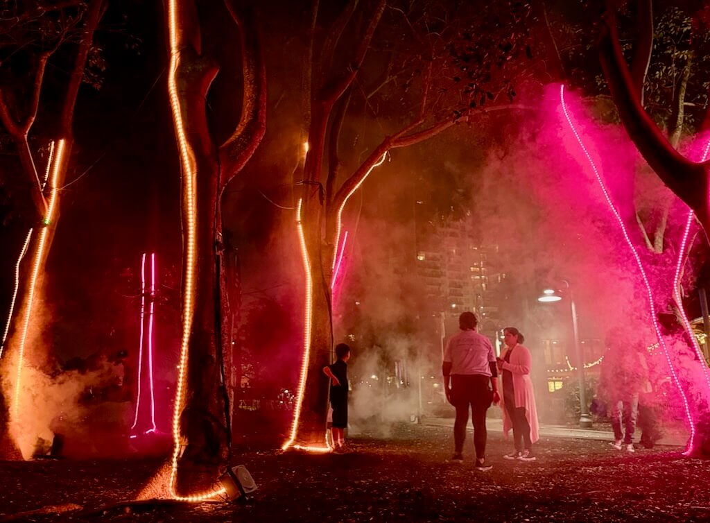 Fog machines and strings of coloured light transforms the forest in to a magical wonderland.
