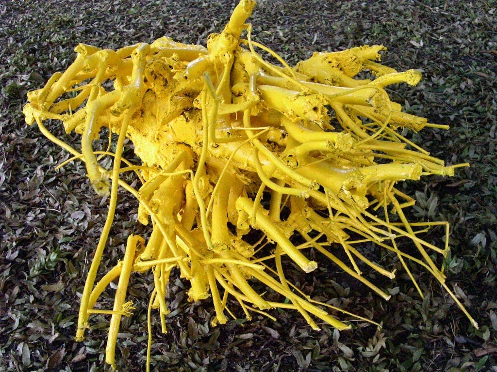 Repurposed dead tree roots were given new life in a vibrant shade of yellow.