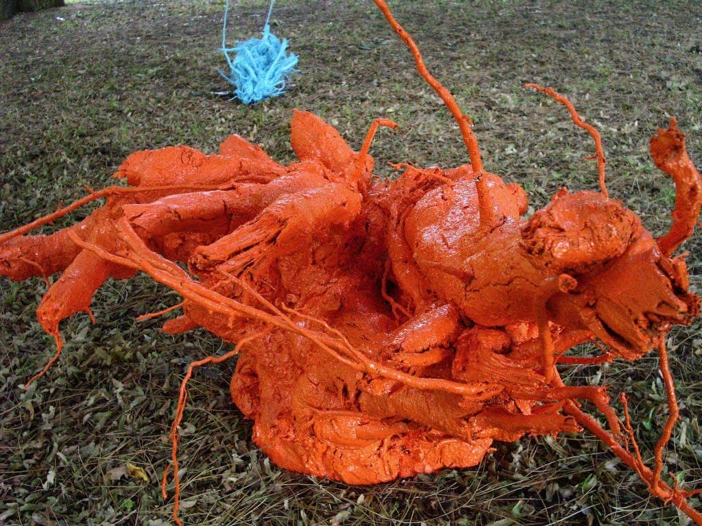 Repurposed dead tree roots were given new life in a vibrant shade of orange.