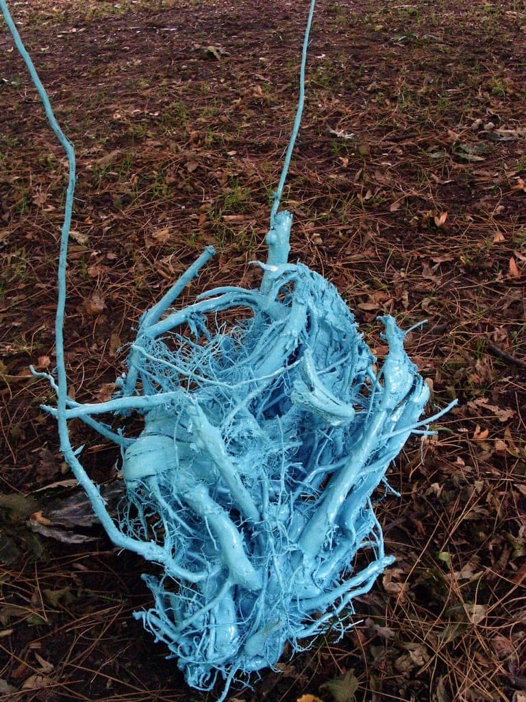 Repurposed dead tree roots were given new life in a vibrant shade of blue.
