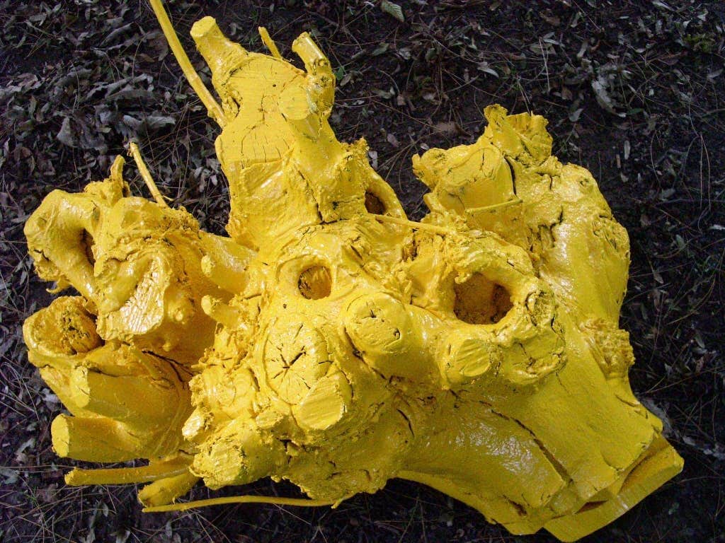 Repurposed dead tree roots were given new life in a vibrant shade of yellow.