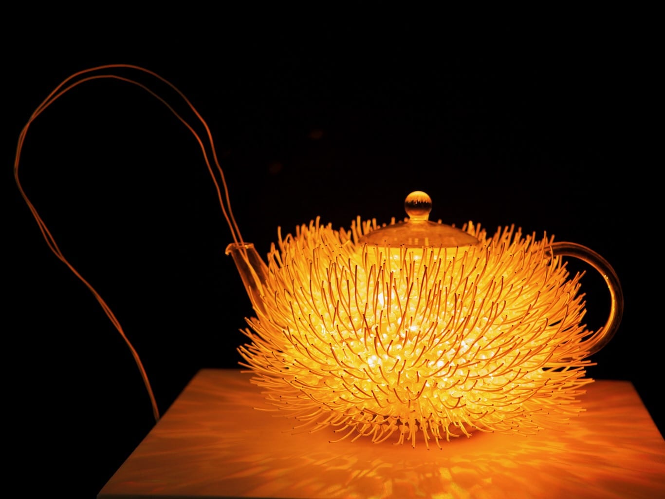 Gorgeous shades of orange are emitted by a teapot covered wiry spines.