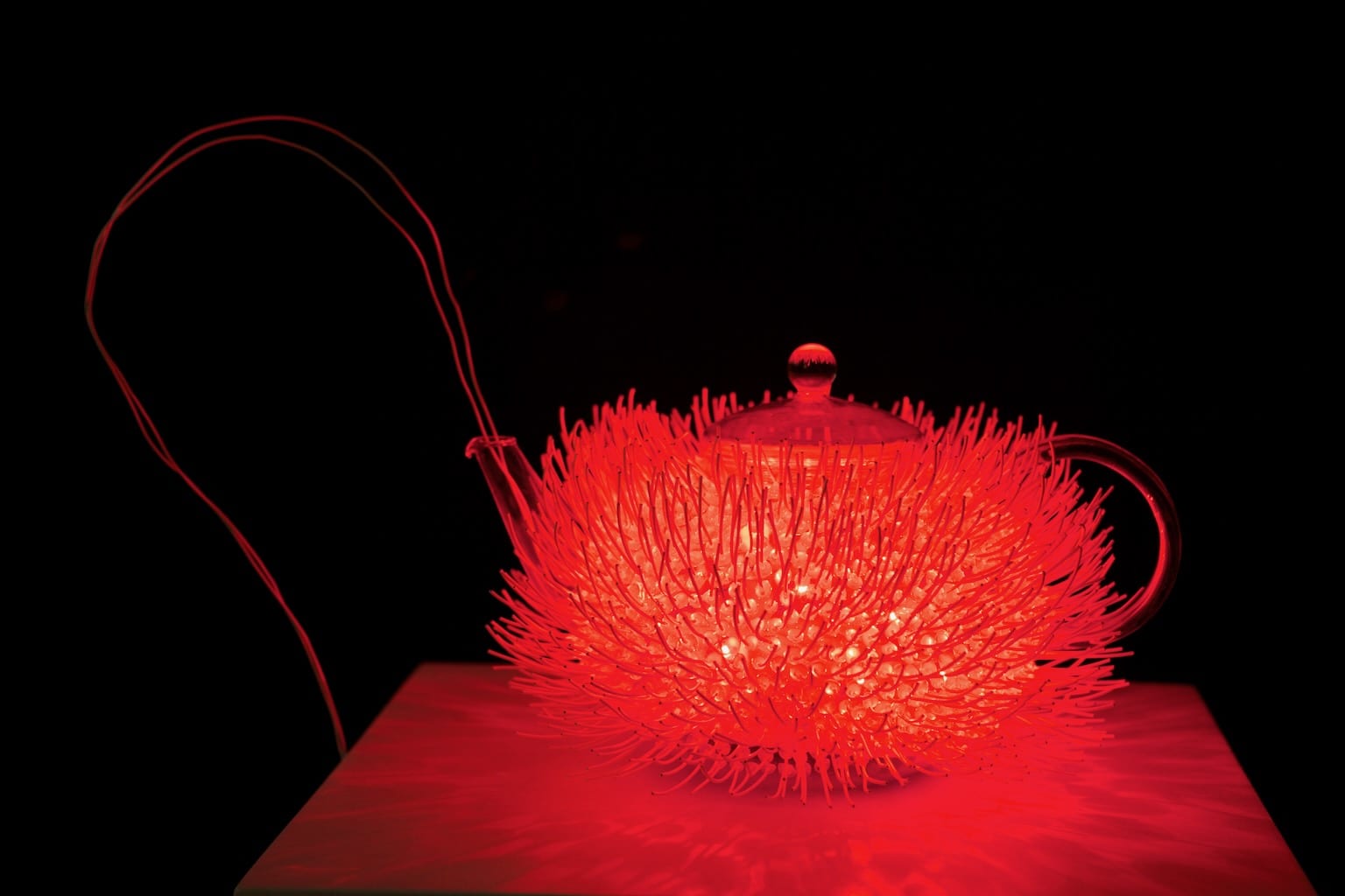Vibrant shades of red are emitted by a teapot covered wiry spines.