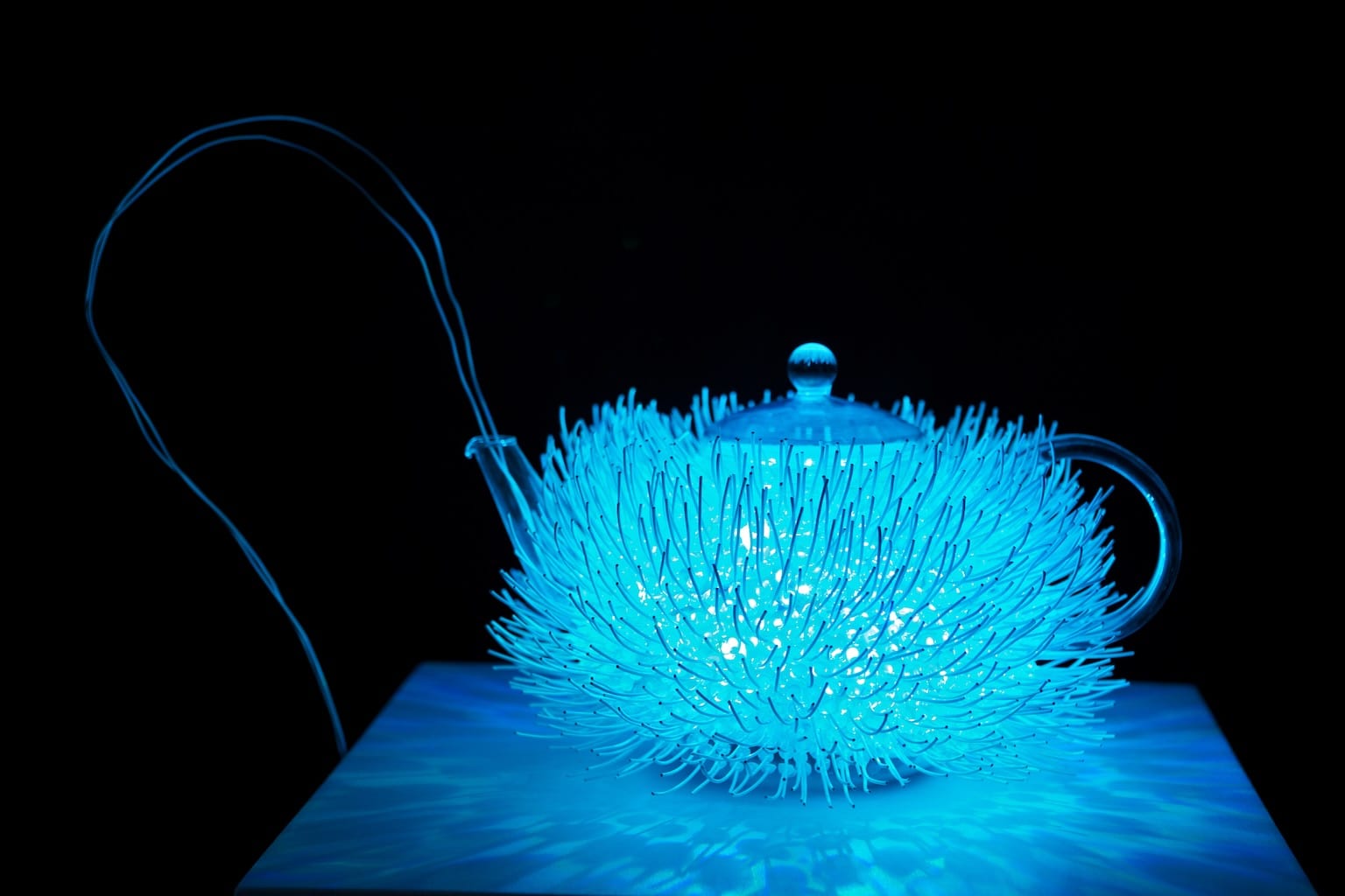 Brilliant shades of blue are emitted by a teapot covered wiry spines.