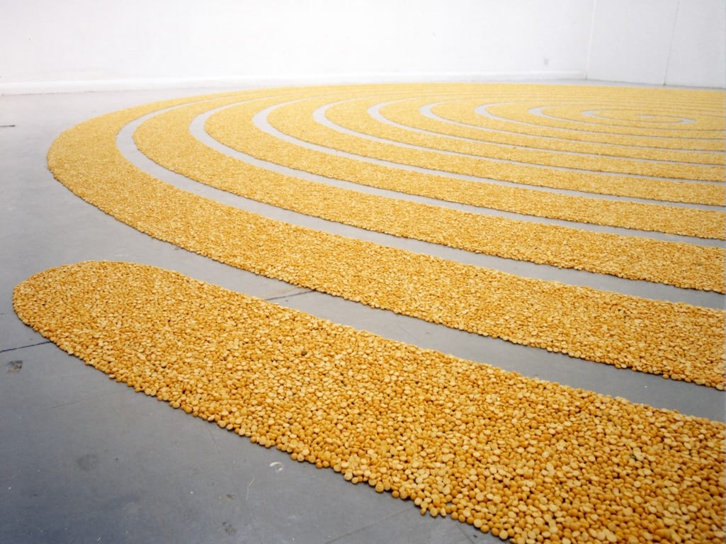 Tine's work titled Split Pea Spiral beautifully fills an entire room with thousands of peas .