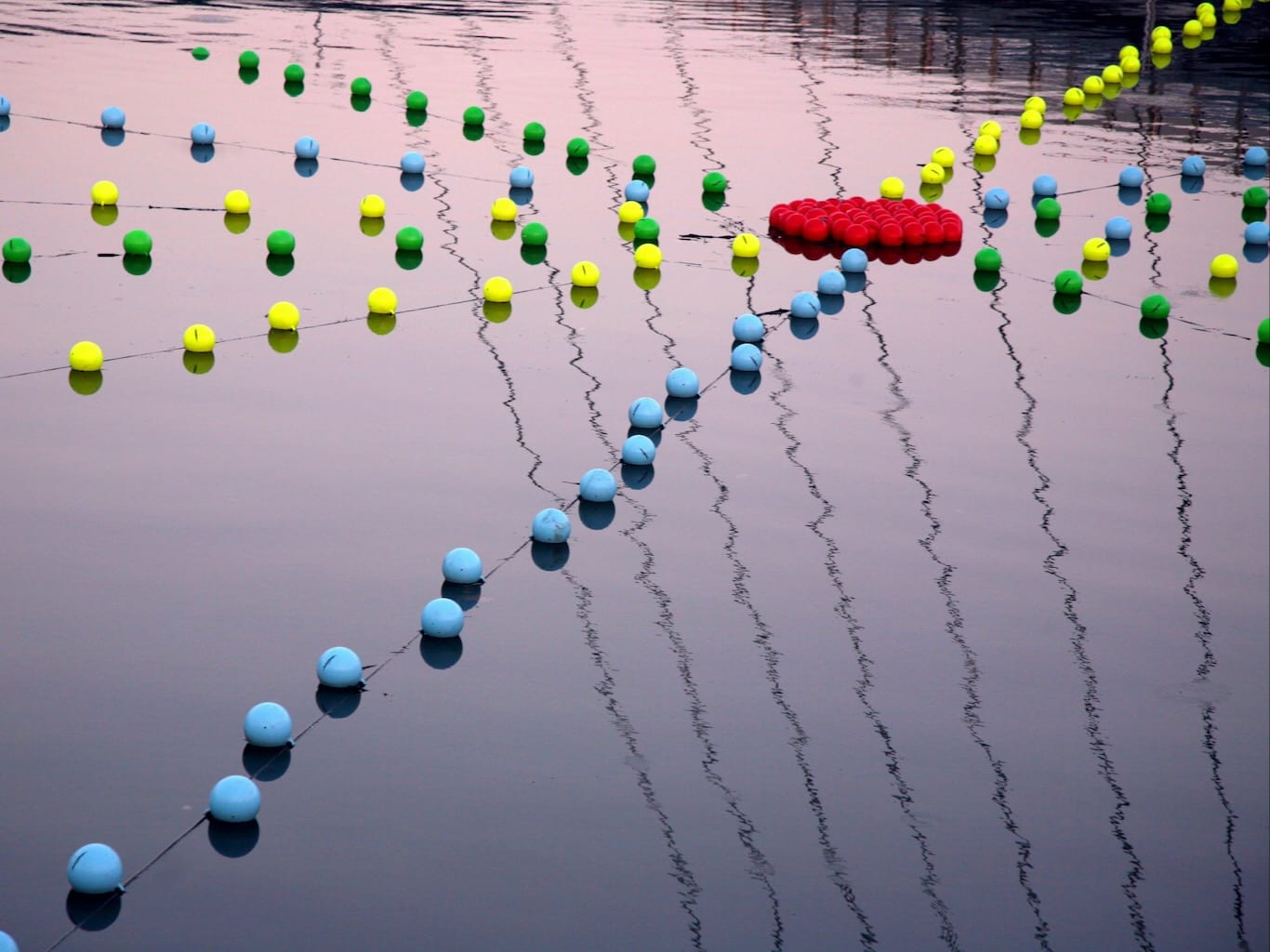 Lines of buoys intersect with the reflection of a bridge, creating a web colour and shapes.